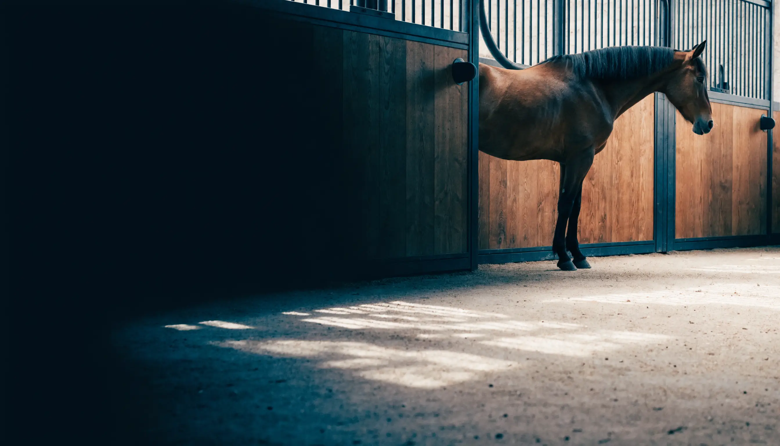 Schone premium paardenstal in een Belgische marktbrief